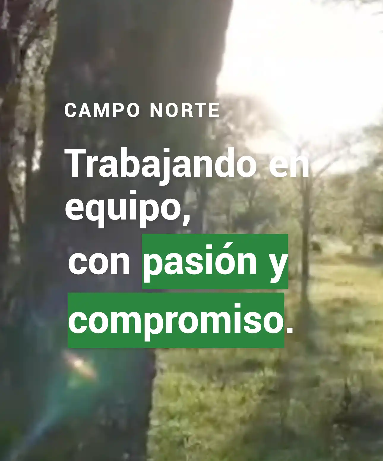 Captura de pantalla de CampoNorte - Sistema de Entradas